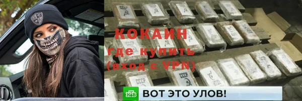 дживик Надым