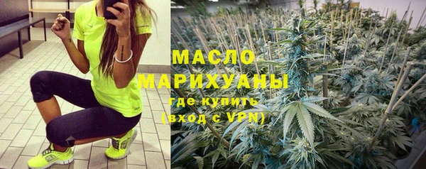 дживик Надым
