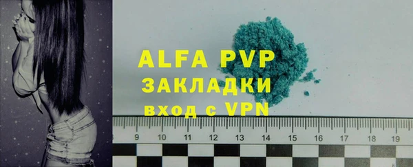 дживик Надым