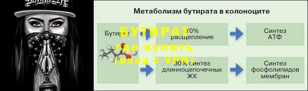 ГАЛЛЮЦИНОГЕННЫЕ ГРИБЫ Гусев