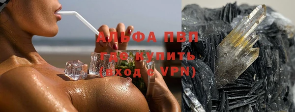 дживик Надым
