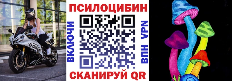 ссылка на мегу ссылка  наркотики  Гаджиево  Псилоцибиновые грибы мухоморы 